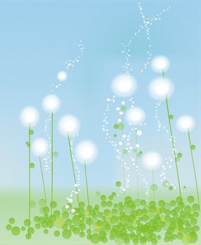 蒲公英背景图片